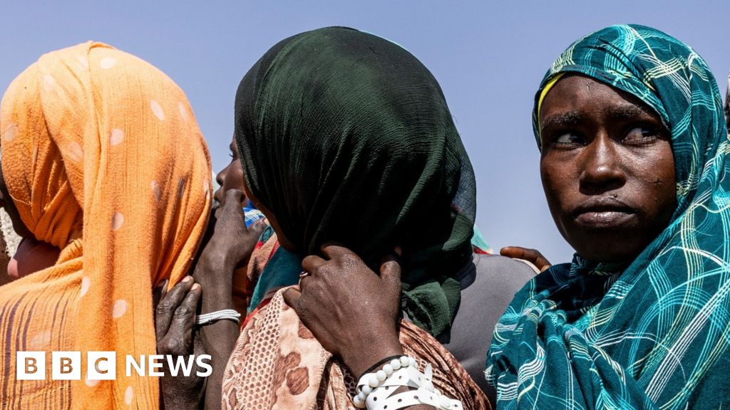 Conflictul din Sudan: Rapoartele ONU dezvăluie crime de război comise de RSF, rezultând 6.000 de morți în trei zile la el-Fasher