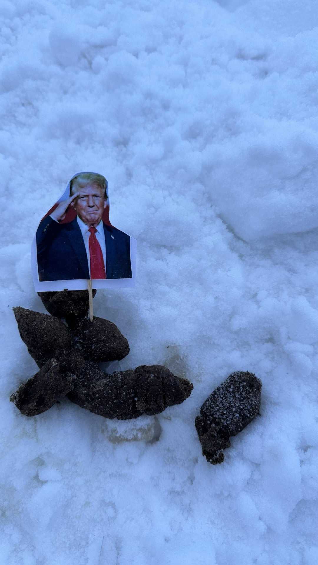 În Alaska vine primăvara