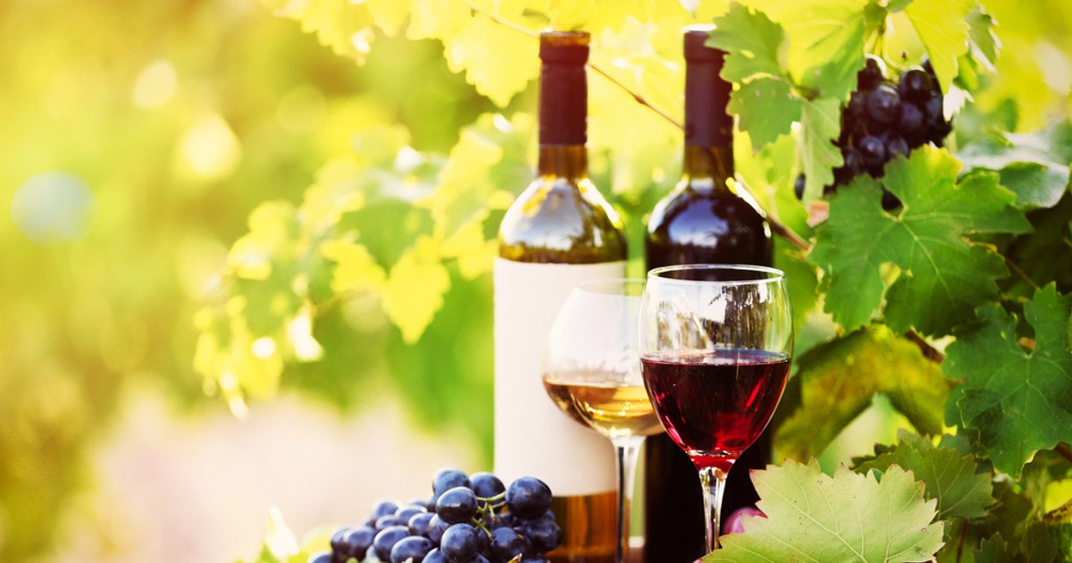 MAIA infirmă embargo pe vinul moldovenesc în Ucraina